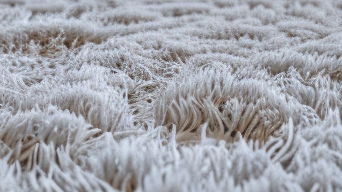 Clean carpet comparison