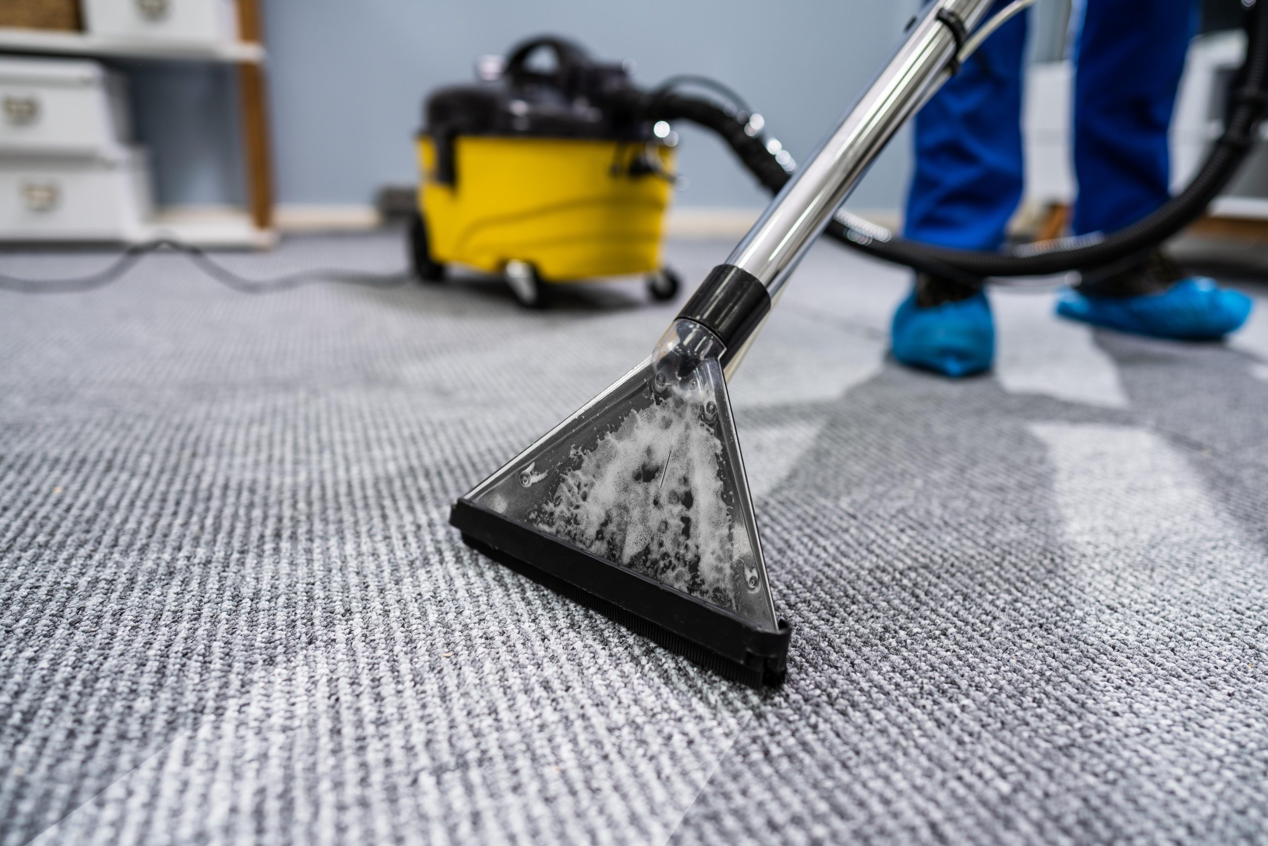Carpet being vacuumed by a person