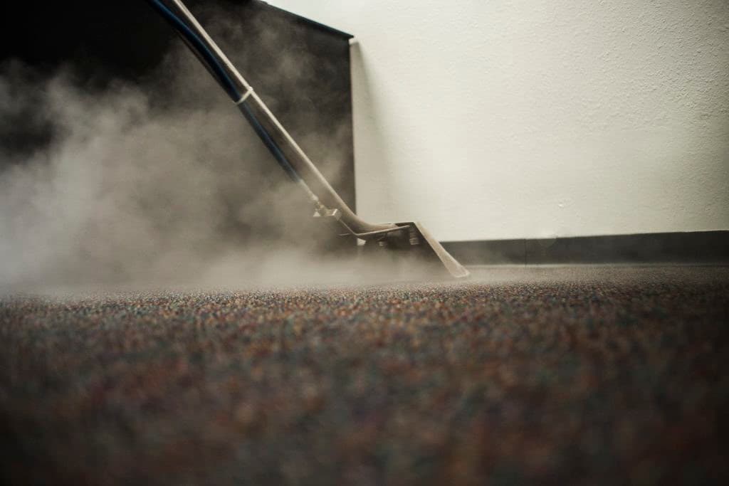 How Often Should I Get My Carpet Rug Professionally Cleaned