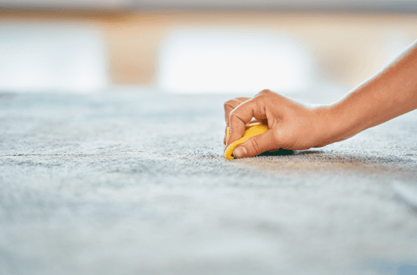 How to Spot Clean Carpet by Hand