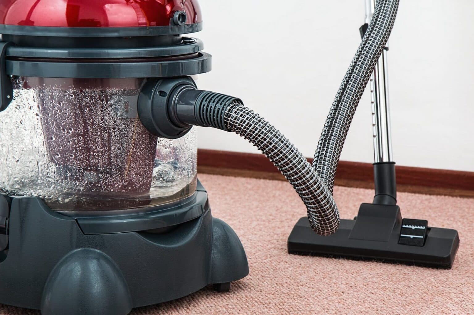 How Many Times Should you Clean Your Carpet?