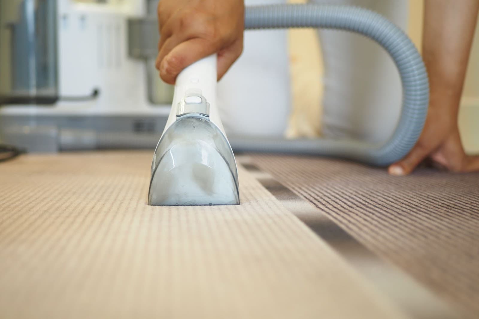 What Is Carpet Dry Cleaning and Should You Avoid It?