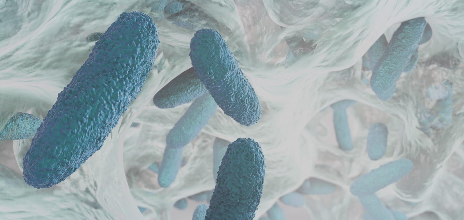 anti microbial treatment