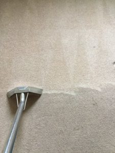 cleaning carpet with shampoo