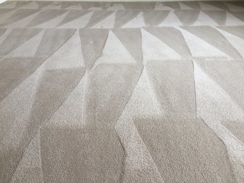 Cleaned carpet
