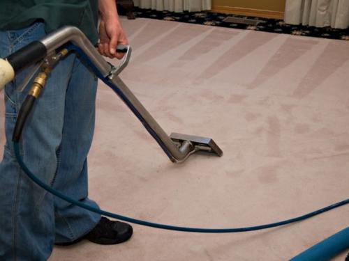 cleaner cleaning carpet
