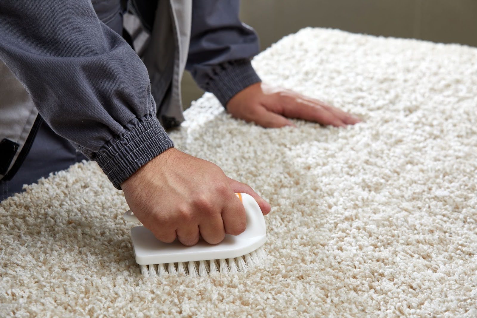 brushing carpet