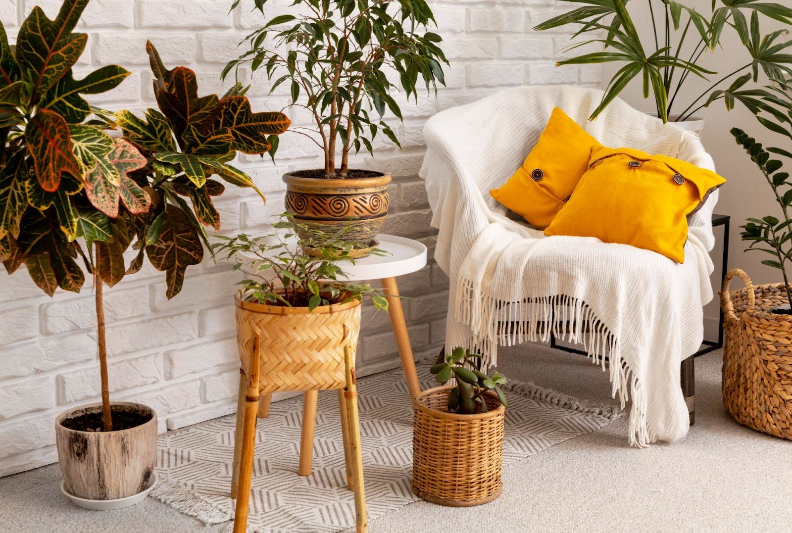 indoor garden corner with potted plants and yellow cushions