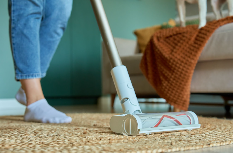 vacuum living room carpet