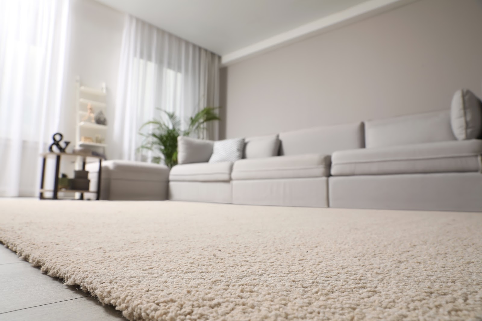 The Benefits of Having a Clean Carpet